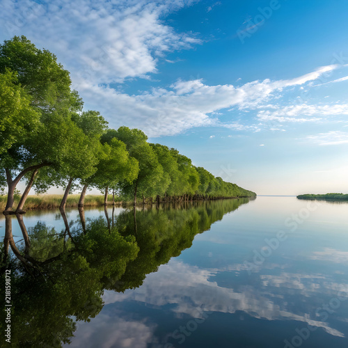 wide shot of water reflecting the green leafed tree
