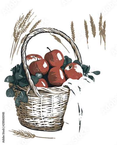 Autumn harvest basket with apples illustration. High resolution illustration with natural colors.