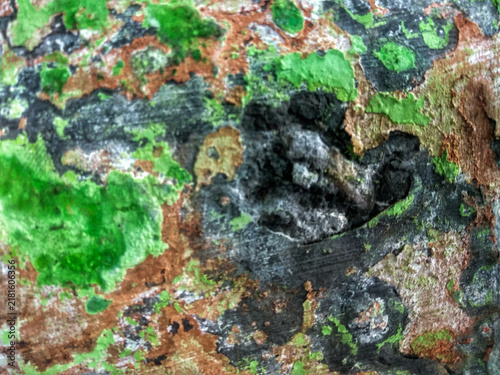 A close-up macro shot of a weathered wall surface with peeling green and copper-brown paint over a dark, rough concrete background.