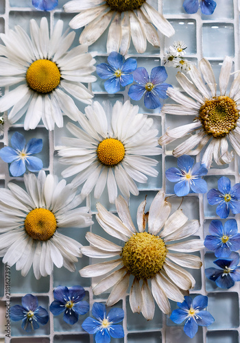 Pressed Dried Flowers on Glass Mosaic Tiles