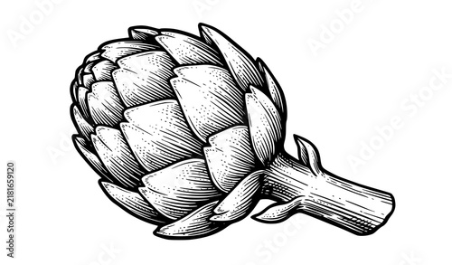 Artichoke Three Quarter Vintage Ink Sketch Engraving Vector