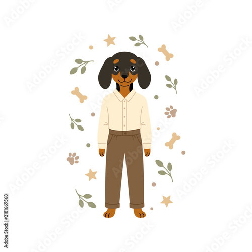 Cute teen boy dachshund in shirt and trousers with leaves and stars. Vector cartoon dog card isolated on white background.