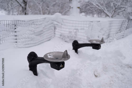 Snow covered drinking fountain in Central Park