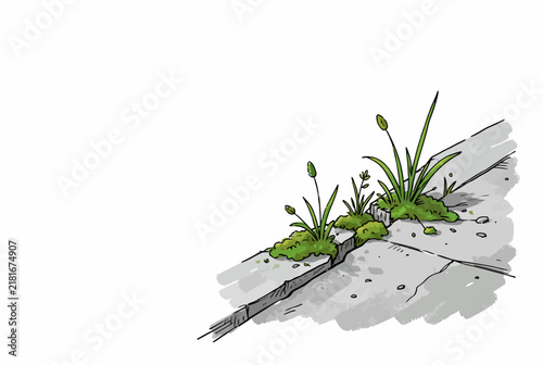 Weed Sprouting Through Cracked Pavement.