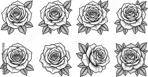 Collection of eight hand-drawn rose with detailed petals and leaves in black and white outline style