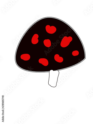 Foto fly agaric mushroom