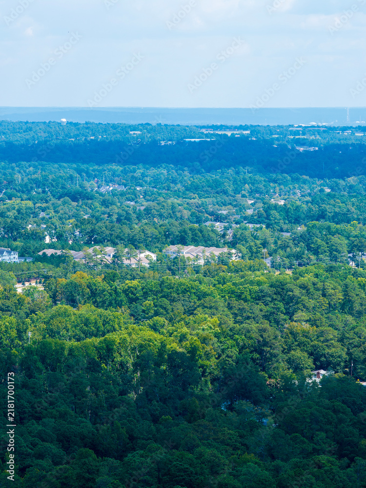 Fototapeta premium Aerial shot of buildings and trees in Augusta Georgia USA