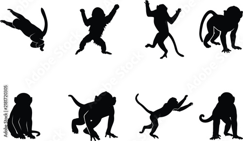 Photography Monkey Silhouettes Vector Collection