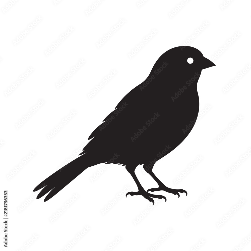 Fototapeta premium crow on a white background