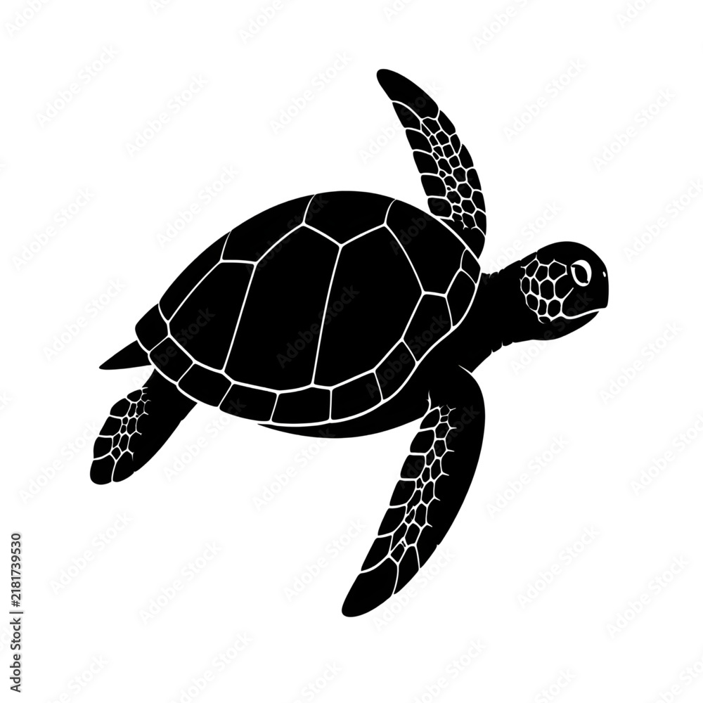 Obraz premium turtle on a white background