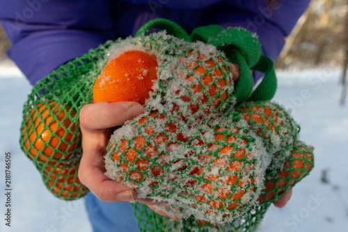 Fotografie Close-up of ripe mandarins, Citrus reticulata, inside a reusable green mesh shopping bag covered with fresh snow