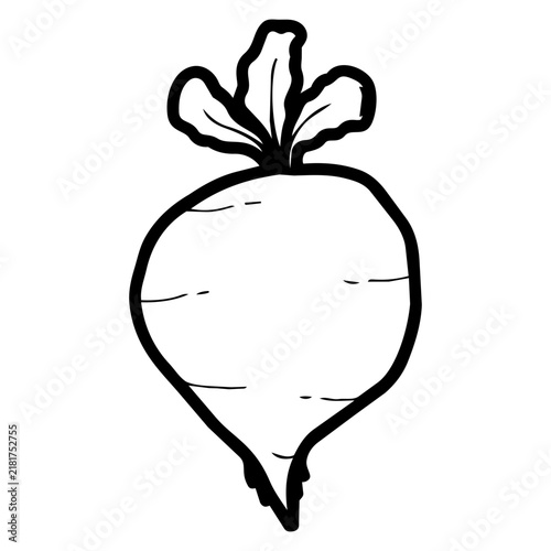 Radish Doodle Lineart
