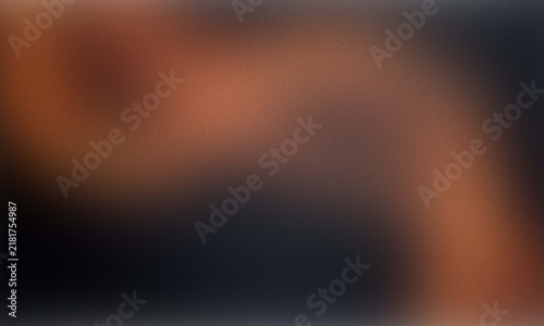 A close up view of a domestic cat with soft fur resting comfortably in a cosy indoor setting