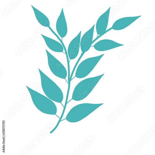 Stylish graphic illustration art of botanical plant