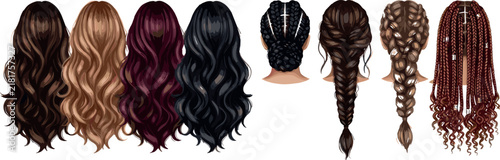 Woman hairstyle vector set from back view featuring long wavy hair and braided hairstyles including box braids and cornrows