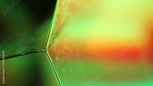 Glowing green and amber liquid vertex junction with geometric specular lines. A low-key macro photograph capturing a sharp geometric three-way vertex node in a liquid film structure.