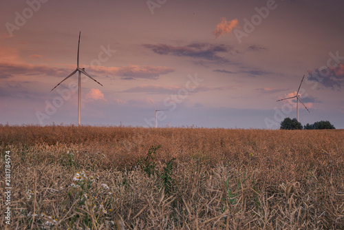 Wind turbines in the farmland of the Pałuki region