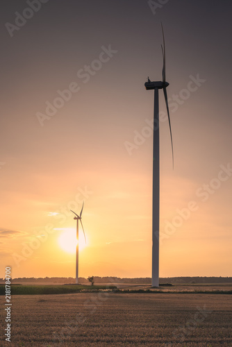 Wind turbines in the farmland of the Pałuki region