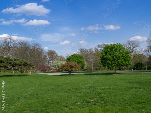 Springtime park landscape with green grass and trees
