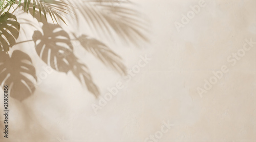 Beautiful shadow of tropical palm leaves falling on a soft beige wall creating a minimalist and calm aesthetic for modern interior design and background