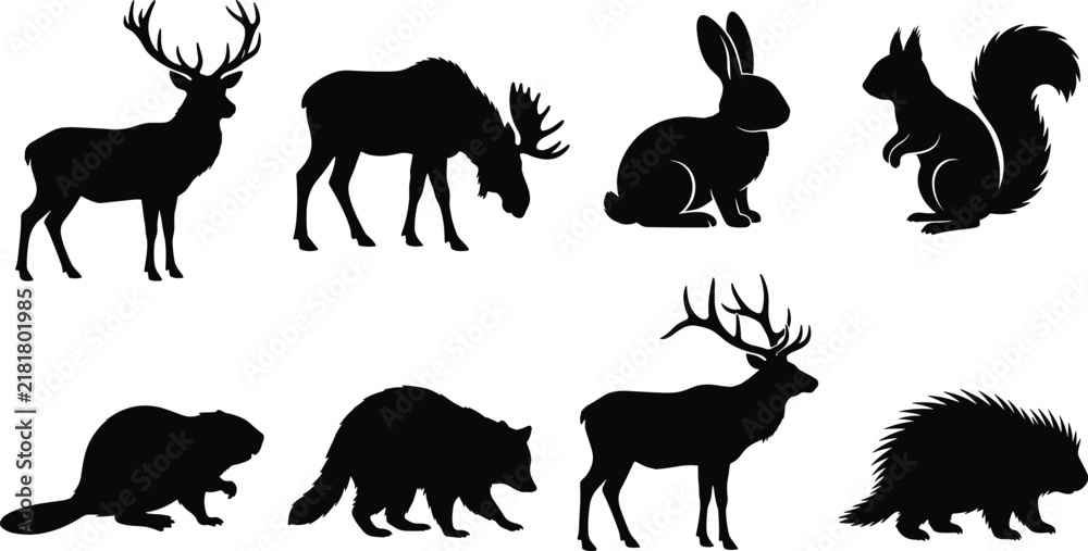 Obraz premium Set of black silhouettes of wild forest animals including deer moose rabbit squirrel beaver raccoon and porcupine