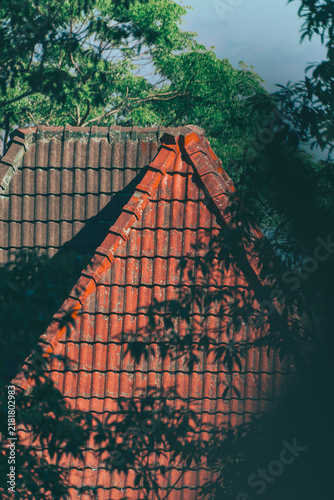 the roof of the house
