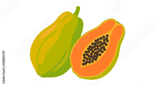 Papaya Fruit Vector Illustration