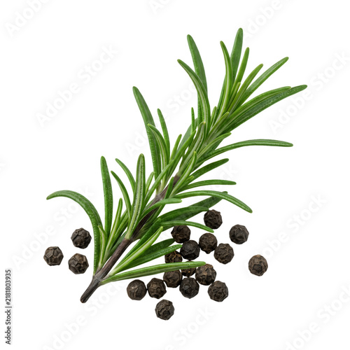 Fresh rosemary sprig and black peppercorns photo. Culinary herbs and spices isolated on white