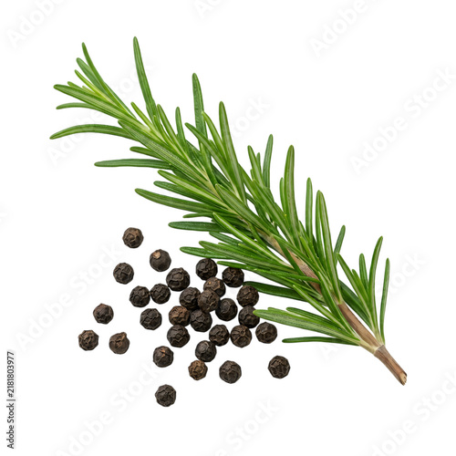 Fresh rosemary sprig and black peppercorns. Aromatic culinary herbs isolated on white background