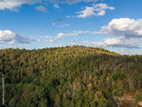 Cuadro en lienzo Landscape and forests in Czechia near Vltava river.