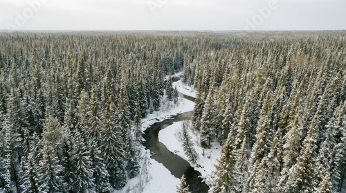 Winding river through a snowy pine forest in winter