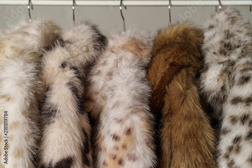 Canvastavla Faux fur coats hanging on clothing rack in neutral interior