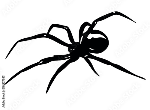 Foto Black widow spider silhouette isolated vector illustration