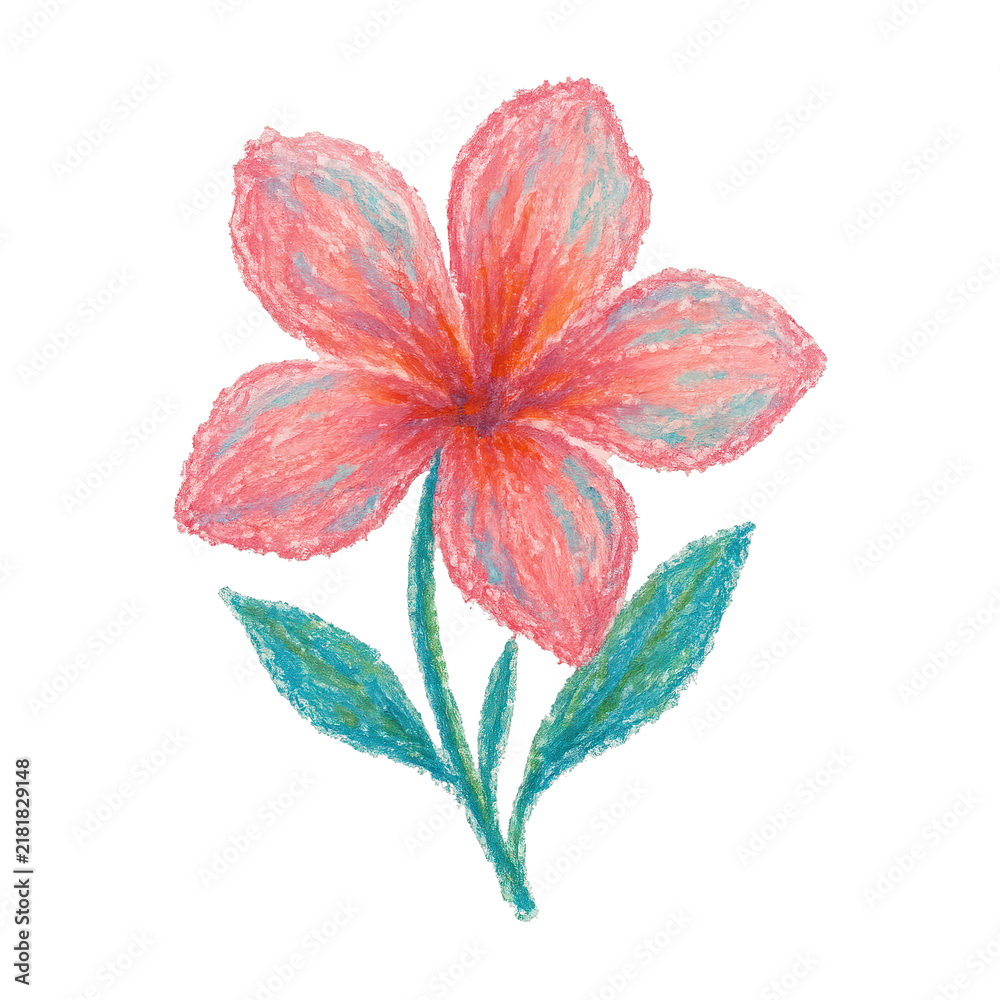 Obraz premium PNG Colorful hand-drawn flower illustration.
