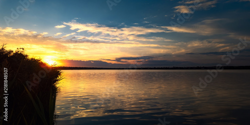 Sun Setting Behind Silhouette of Reeds