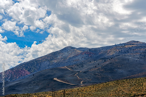Wildfire Damage in the mountains above Reno Nevada