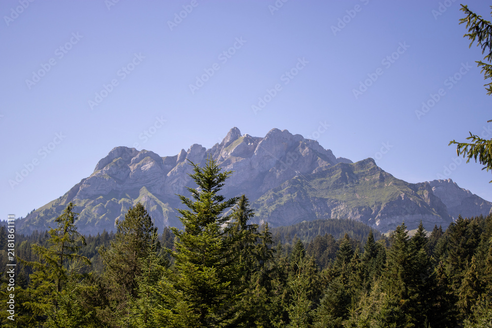 Fototapeta premium Rocky mountain peaks rising above dense evergreen forest under clear blue sky