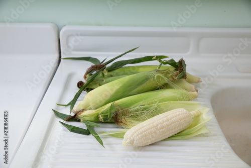 Silver queen corn on white metal counter