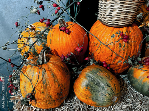 Autumn pumpkin harvest display