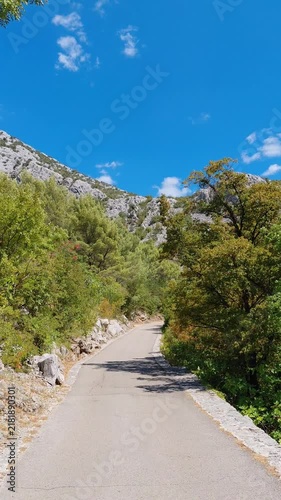 A vertical, eye-level, full shot shows a paved asphalt road curving through the lush landscape of Paklenica National Park in Croatia on a bright, sunny summer day under a clear blue sky
