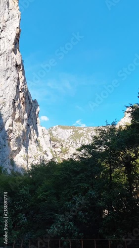 A vertical, low-angle tilt-up shot begins on a wide gravel trail with hikers resting under shady trees at the entrance of Velika Paklenica gorge in Croatia on a clear, sunny summer day