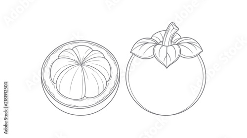 Mangosteen Fruit Outline Vector Illustration