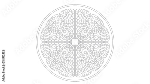 Minimal Outline Citrus Slice Vector Illustration