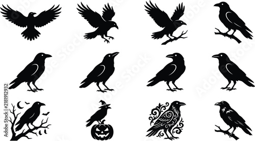 Collection of black crow silhouettes for halloweeen design projects featuring various poses and spooky bird illustrations