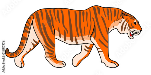 Photography tiger vector illustration