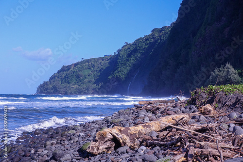 Konstfotografi Weathered driftwood log on a boulder beach with rough surf below towering green