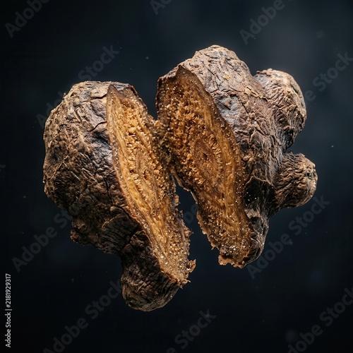 Intricate Natural Root Structure Unveiled With Detailed Texture