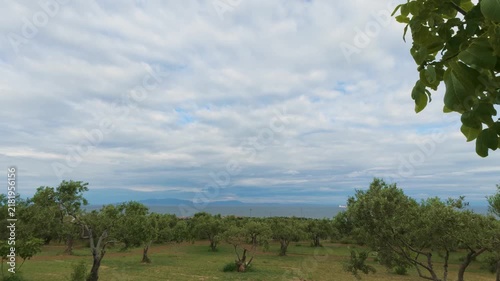 Beautiful Scenic View of Olive Tree Grove on Green Field Overlooking Blue Ocean Coast and Distant Mountains Under Dramatic Cloudy Sky, Peaceful Mediterranean Countryside Nature Landscape Background