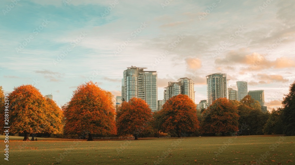 Obraz premium Autumn cityscape with vibrant trees and skyline.