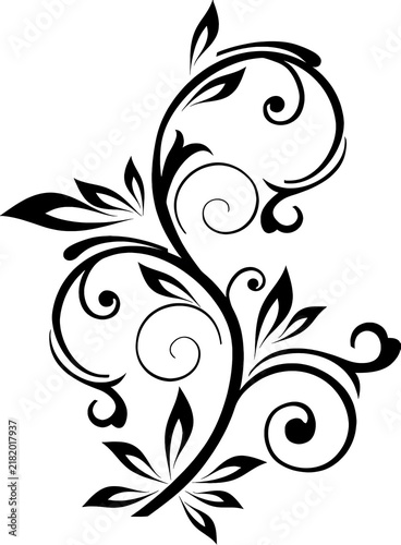 Elegant Black Floral Swirl Swirls Vector Ornament Isolation on White Background